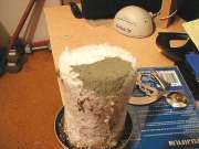 green mold on cake